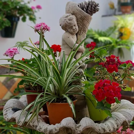El Barrio Appartement *